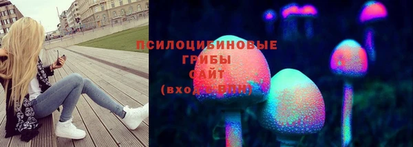 ешки Верея