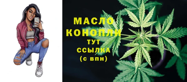 дживик Переславль-Залесский