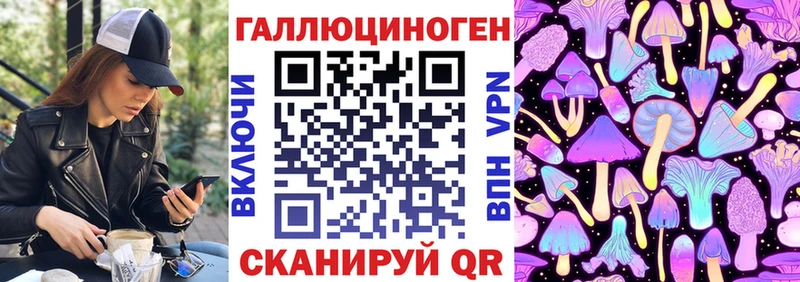 что такое наркотик  Курган  кракен сайт  Псилоцибиновые грибы мицелий 